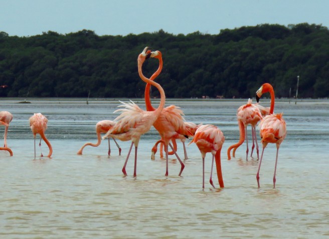 4D7AD685-ED24-453B-A0B7-34F325233473