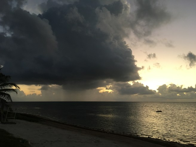 AAEA6836-01AC-4174-9E2B-B36C560F2DBA