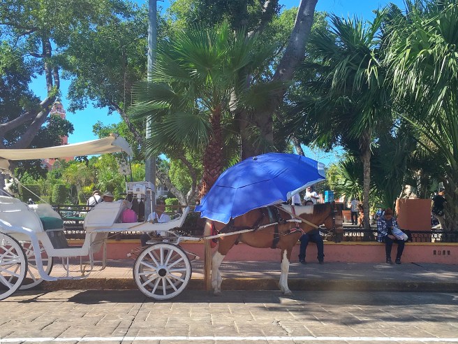 B8F26F49-21C6-48FC-84D9-C059A9CE17A4