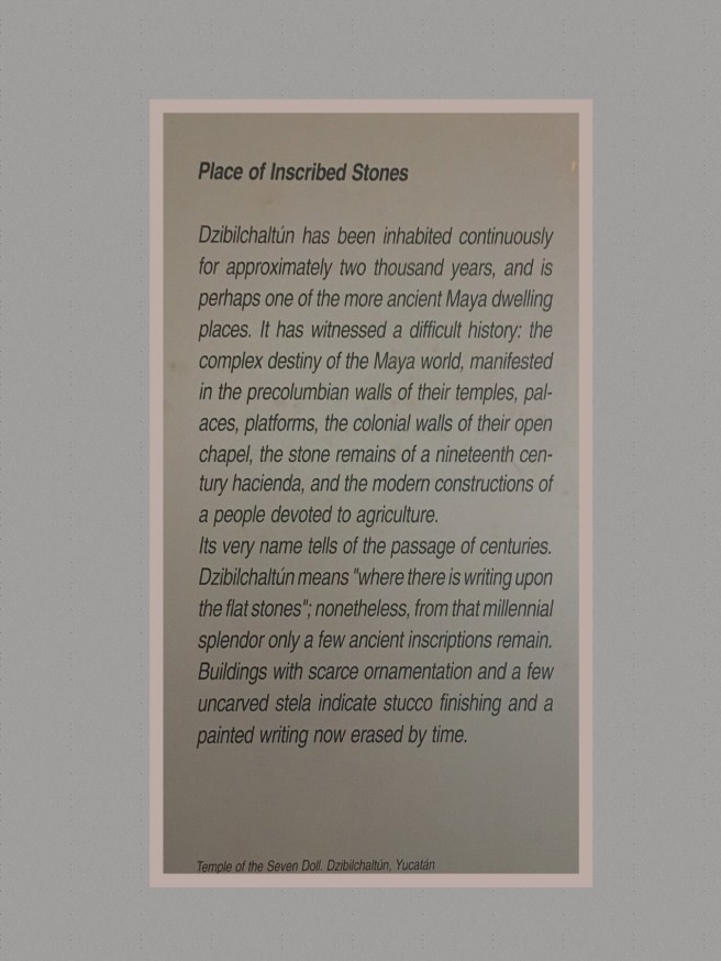 EF01345D-38D0-4822-A393-4C31A1DE1A91