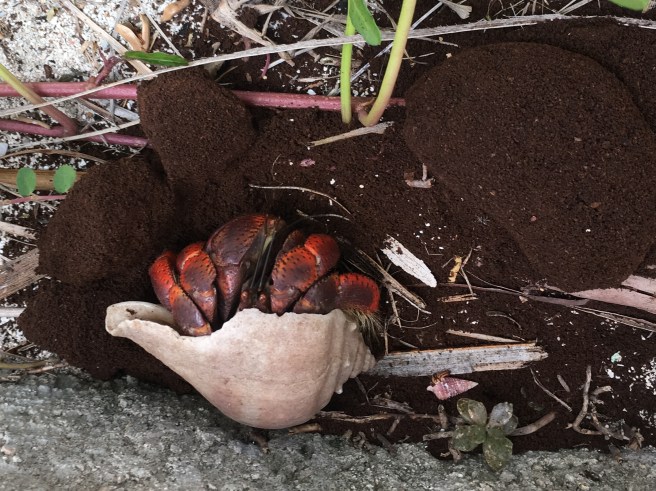 F7B20EEF-41B4-4FCB-A865-4BD87025AAA5