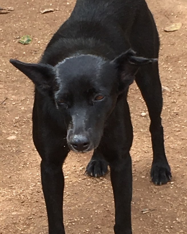 08e55a04-d47a-4bcf-a089-9ea9e3848738