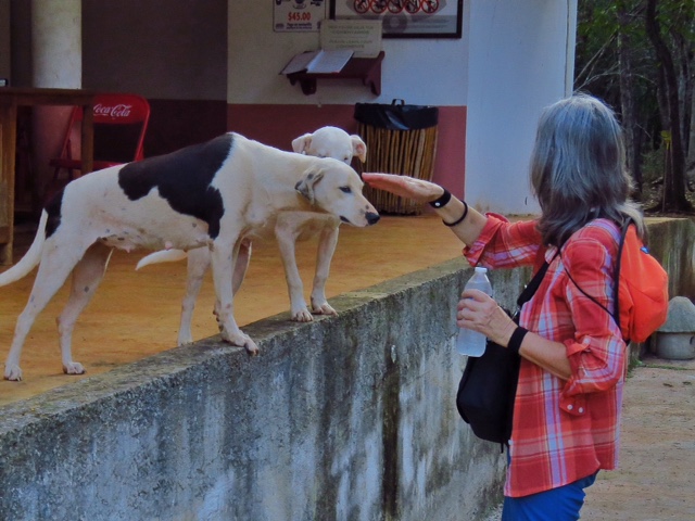 1530a99e-f988-4d6b-9965-80f2166d81d4