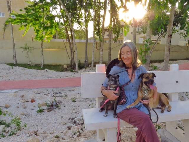 19fd1e0a-fa17-4c6e-aee1-84028733a042