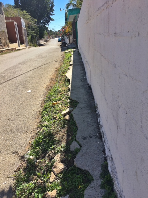 279966b1-2336-4bfc-9af9-1d3c41b7c6c6