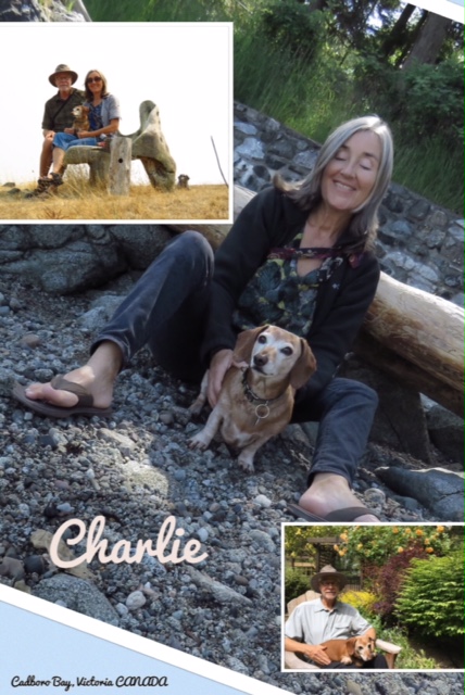 28fdc2c9-20f4-4808-b50a-3f1b1381dd58