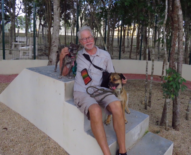 2dd4f9a2-f35d-4437-83d8-734af21cb364