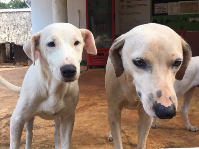 34cc597f-7cfa-4bde-af01-480e2fd018b4