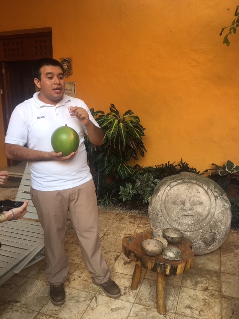 363c2efd-cc43-41ca-b94e-8fc0afe407f8