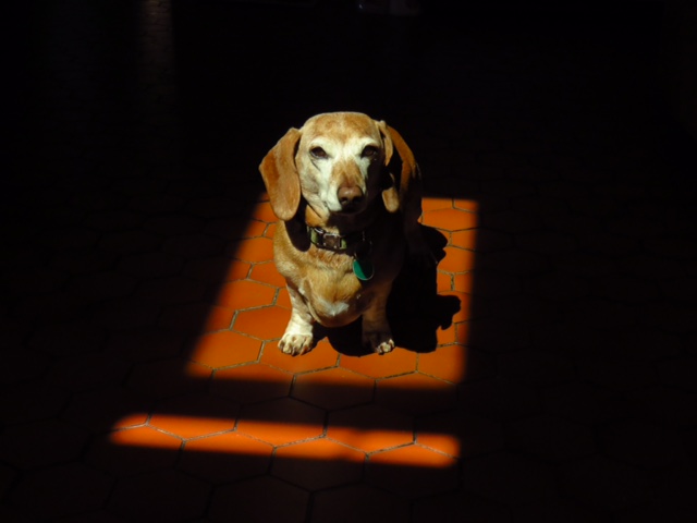 84532515-3415-4b0a-85fc-9131df5ba32a