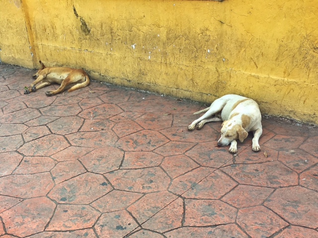 8667b3ac-87eb-437a-8df2-03f8fb8d7f32