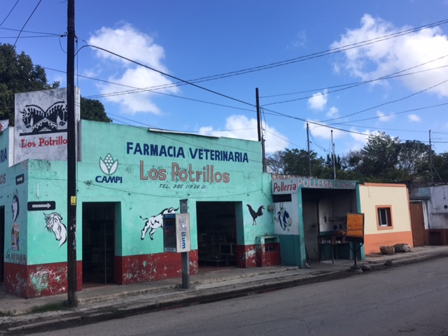 8c3fbbb5-1e06-4275-a9fc-b47e8d0de59c