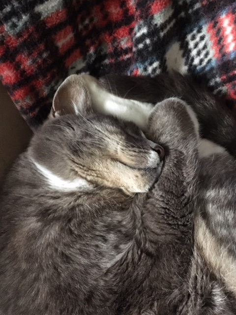 b518af8e-f8ff-468b-a34f-5b74467d7490