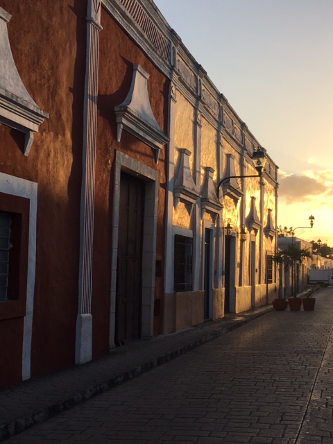 bad61ad8-329c-48c9-b344-ddd0665caa8c