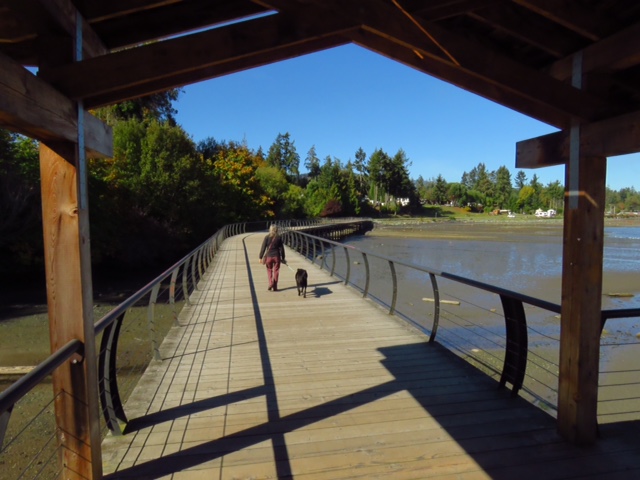 bbdfc722-e4c7-4225-b307-9f4a571a7985