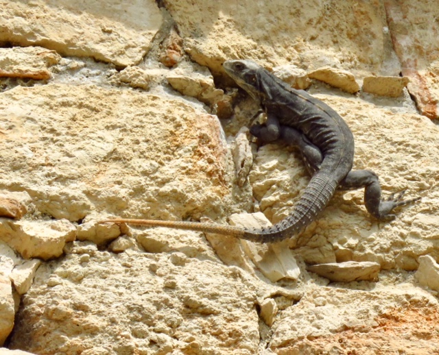 c76836e5-3949-4ece-951b-2f9b58a4f75b