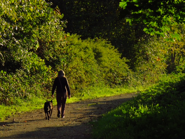 cf25b535-7acf-423c-b891-7896d7872d81