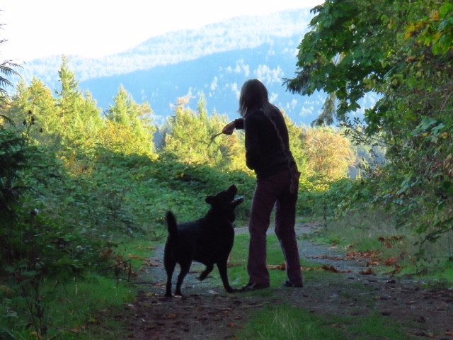 dd3d5daf-f591-449c-aa2f-a2fe8370acf3