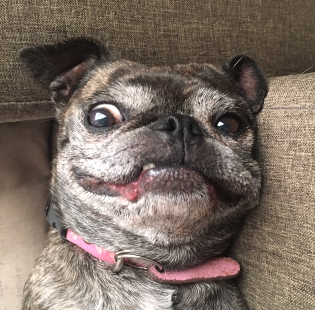 fdc7b6df-584d-4d90-806f-0eafa7e5d0fe