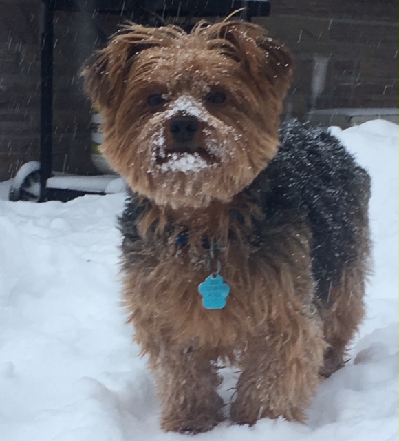 752AB7A6-5B2E-4FAE-9F06-C973B2FCB6DC