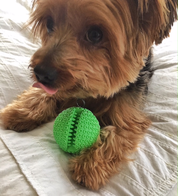 DFA1AE3B-DB80-4E5C-B995-C2EFB89CC83C