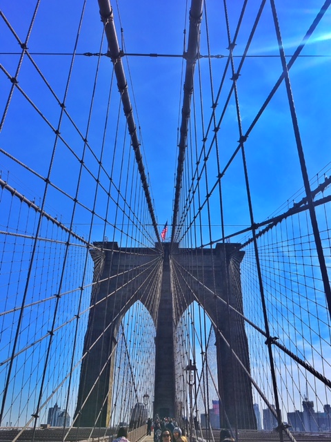 A117ED7A-1293-4CE0-9E02-06A138B589F4